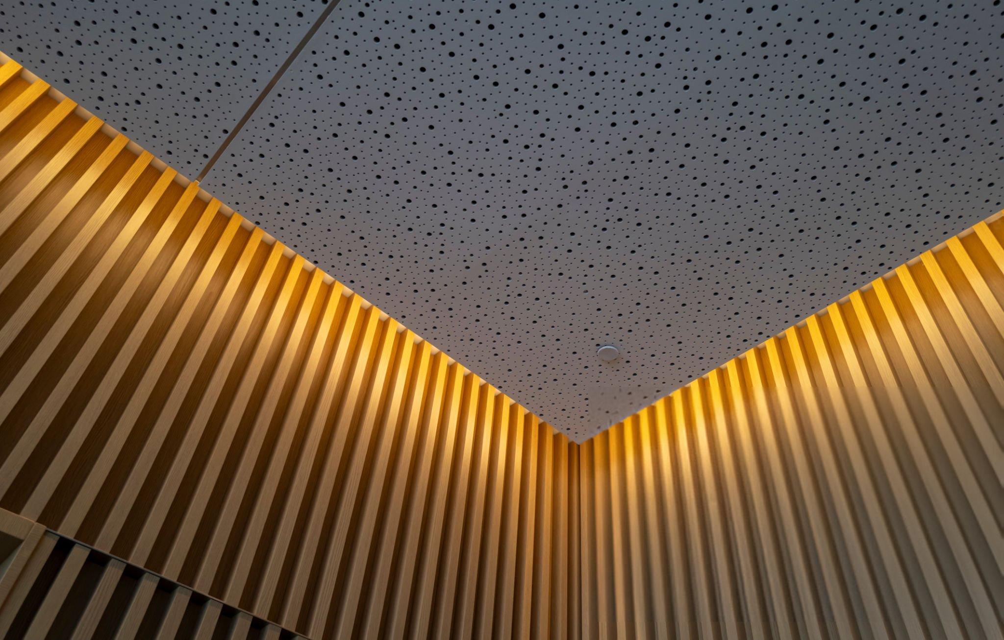 Acoustic Ceiling